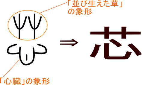 芯 字義|「芯」とは？ 部首・画数・読み方・意味